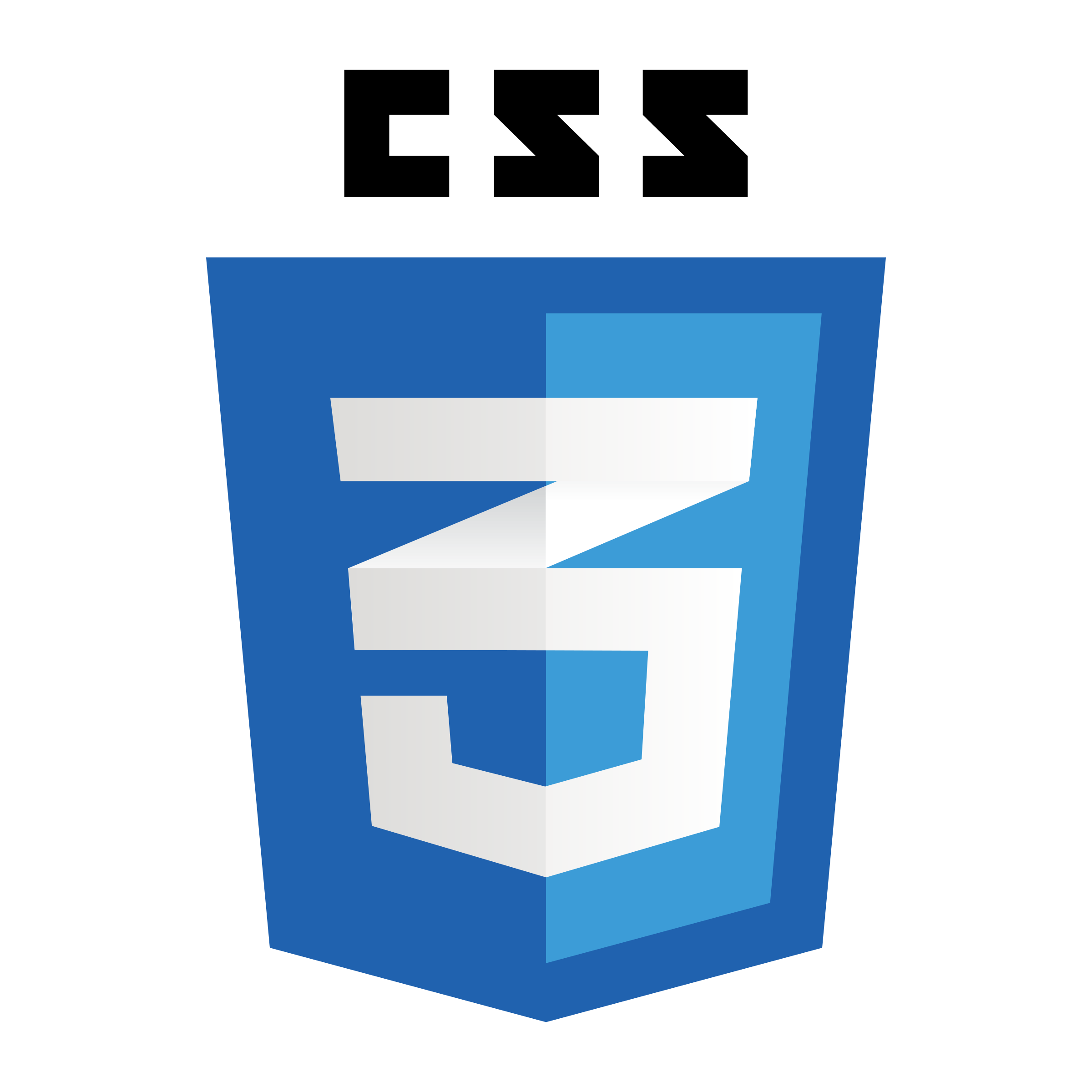 Best CSS3 designer In India